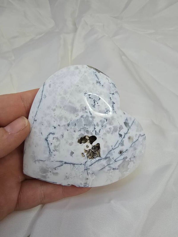 Sneeuw agaat met dendriet hart