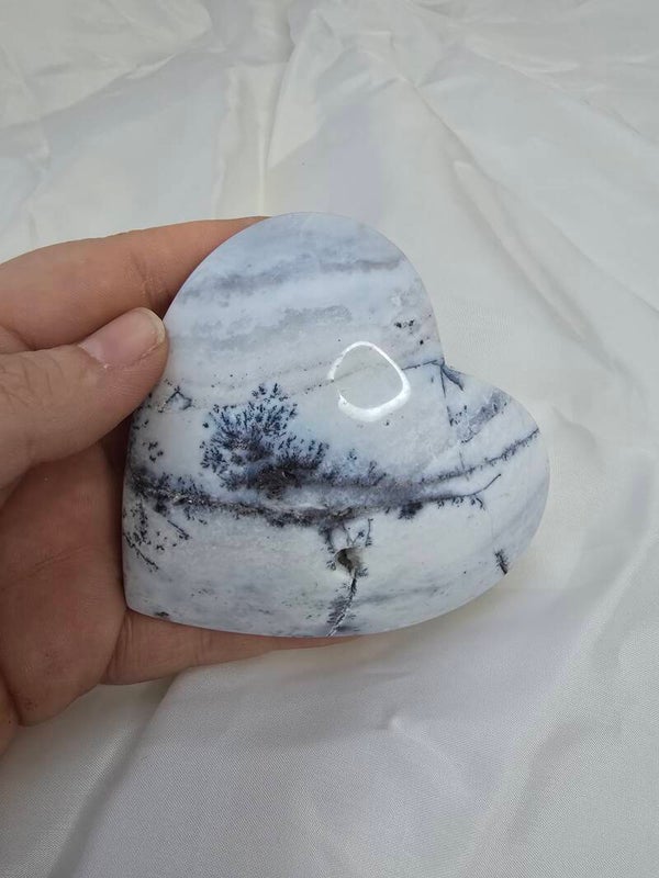 Sneeuw agaat met dendriet hart