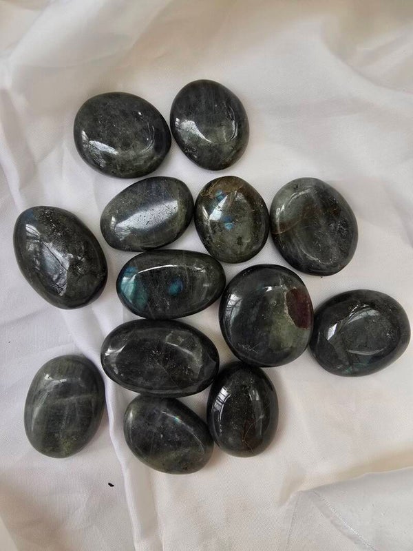 Labradoriet mini palmsteen