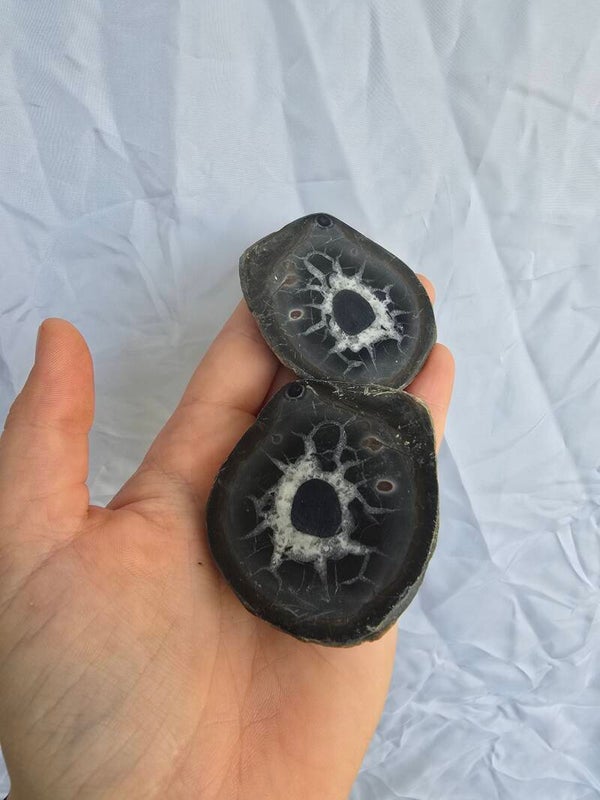 Septarie set