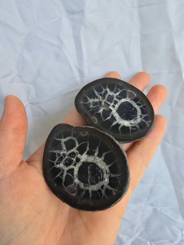 Septarie set