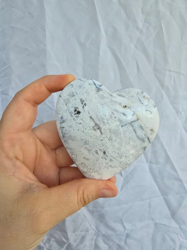 Sneeuw agaat met dendriet hart