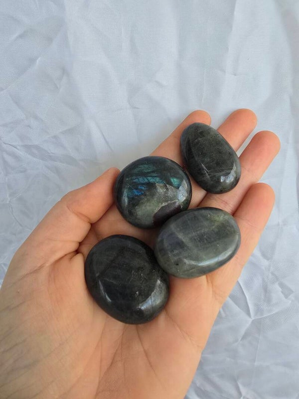 Labradoriet mini palmsteen