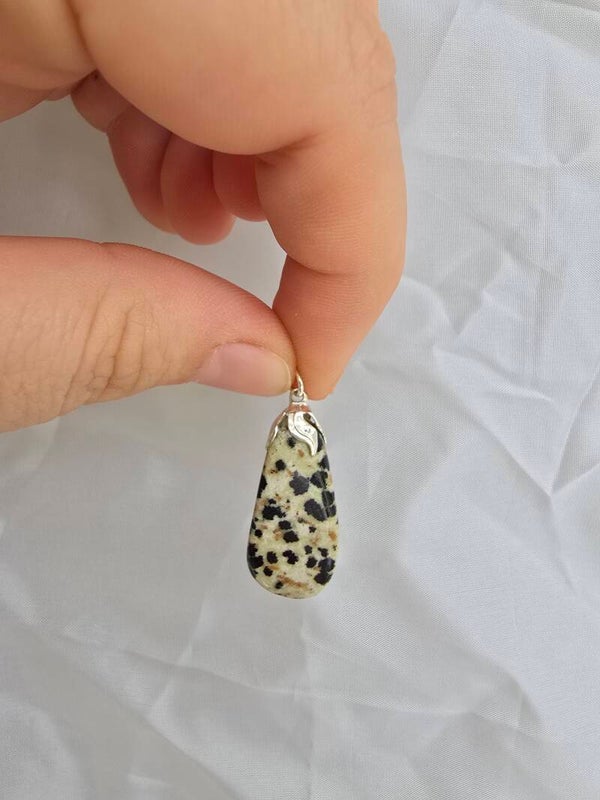 Dalmatier jaspis ketting bedel