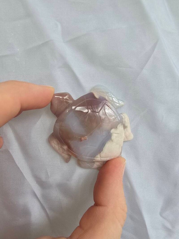 Bloemagaat schildpad