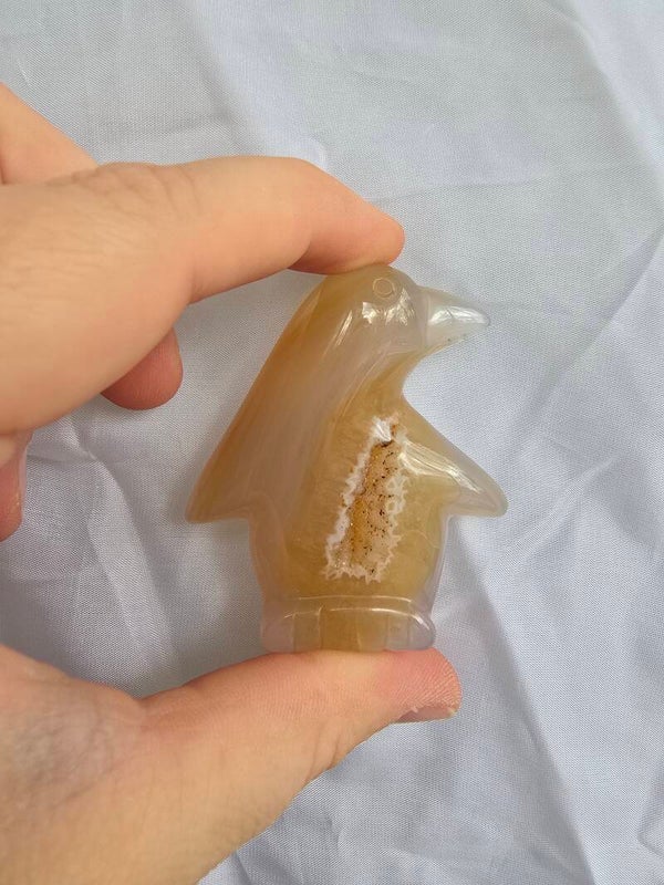 Agaat pinguïn