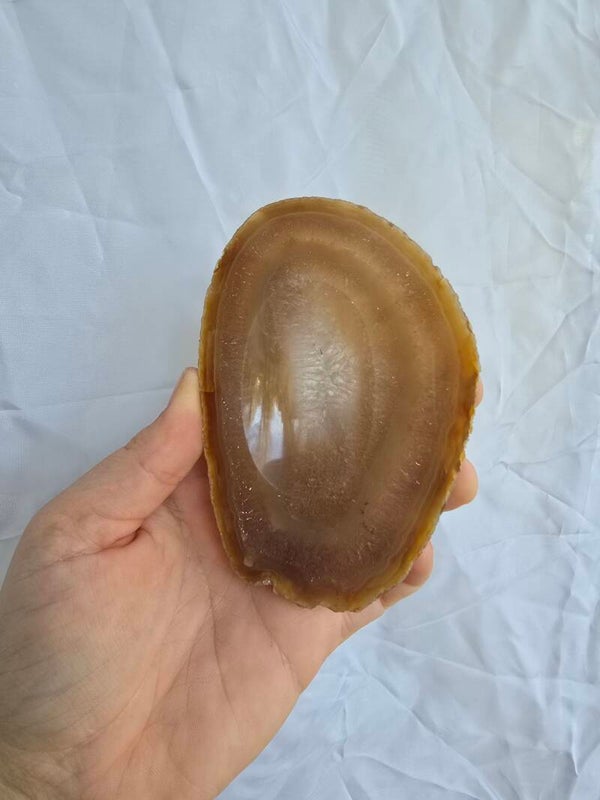 Agaat schaal