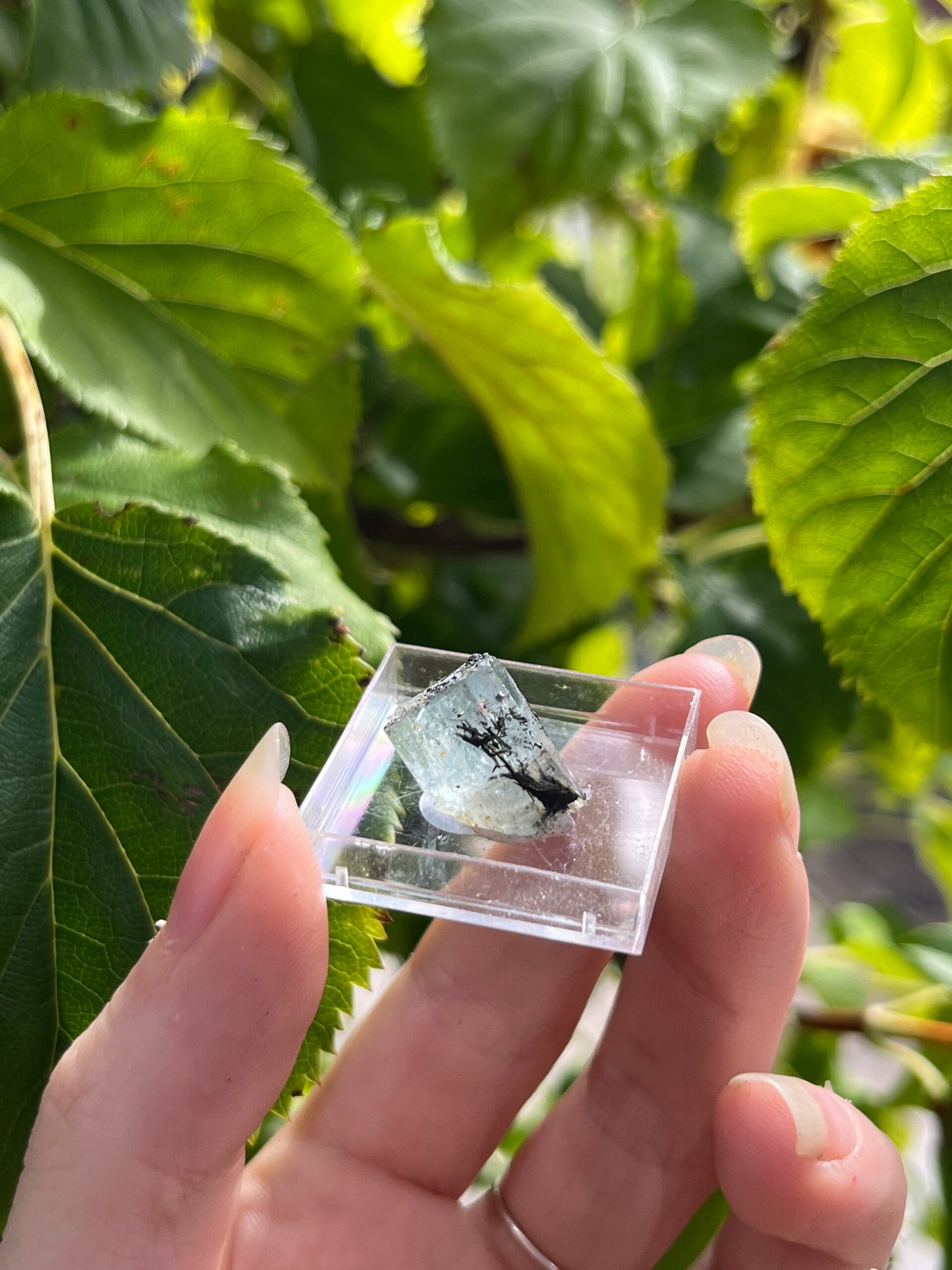 Aquamarijn met toermalijn kristal