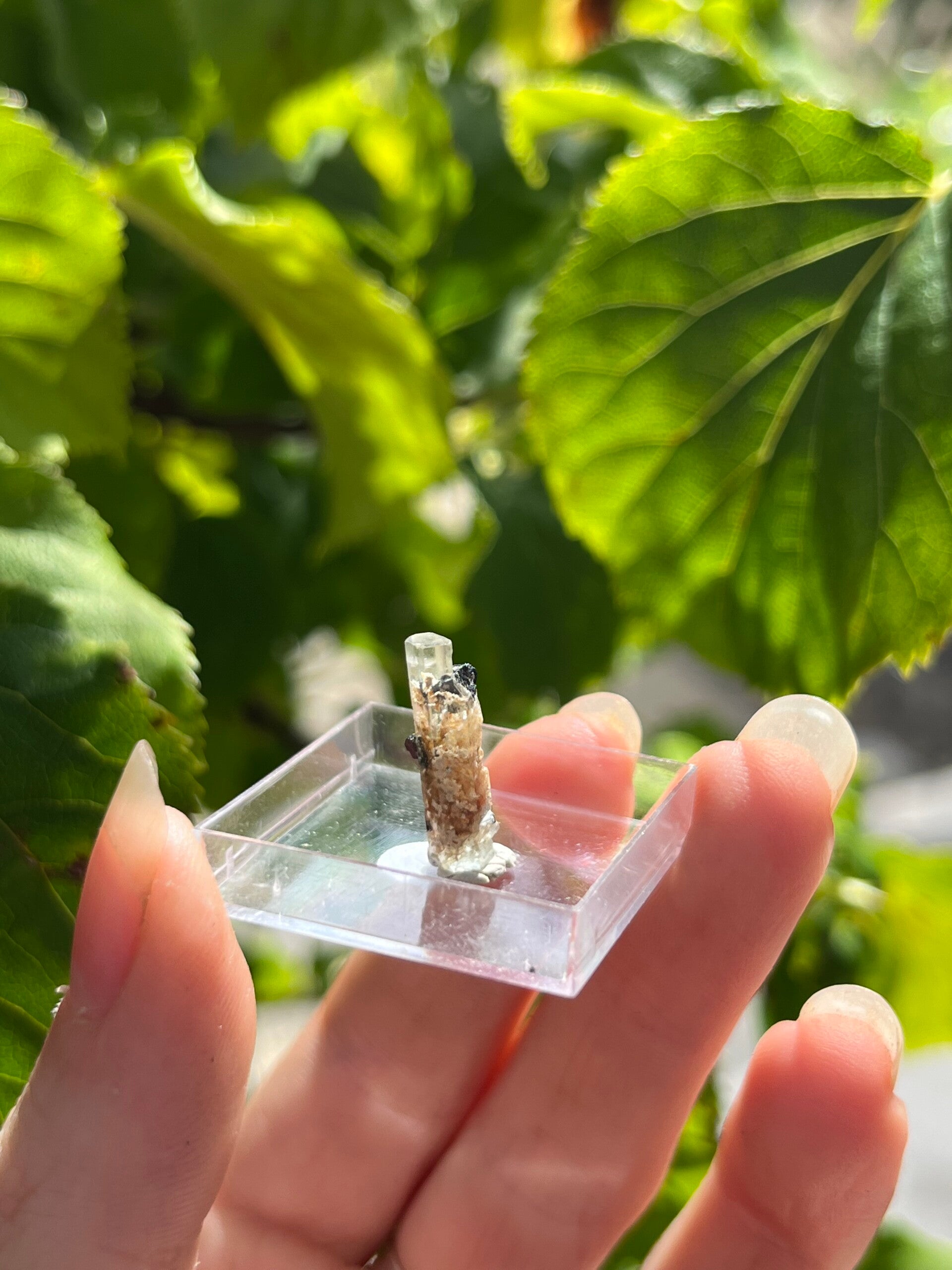 Aquamarijn met toermalijn kristal