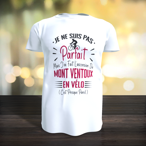 Tee-Shirt - Je ne suis pas parfait