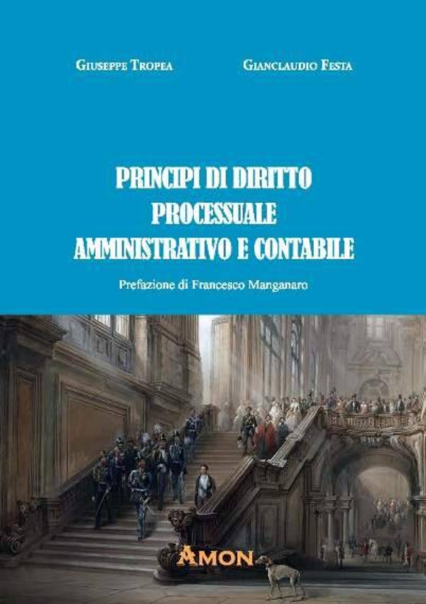 Festa Tropea Principi di diritto processuale amministrativo e contabile - Amon Edizioni