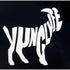 Yung Lyfe Players Academy
