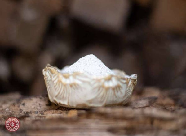 Paul & Paulina - Algenkalk gemahlen 500g