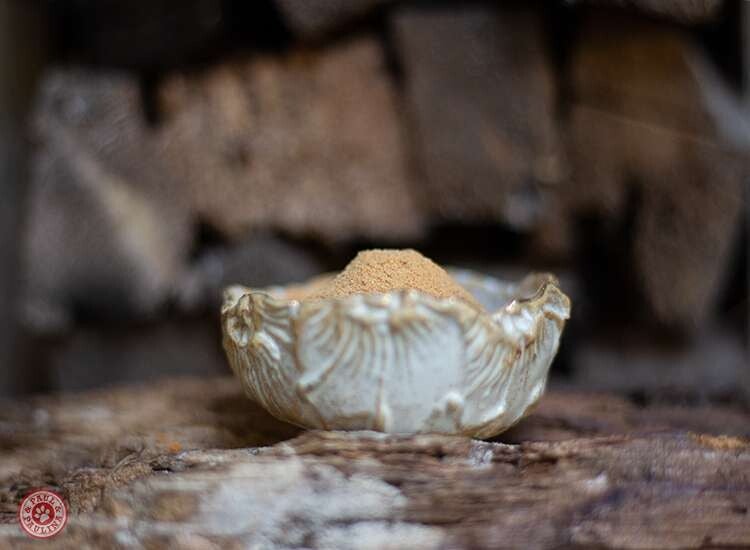 Paul & Paulina - Bierhefe 350g