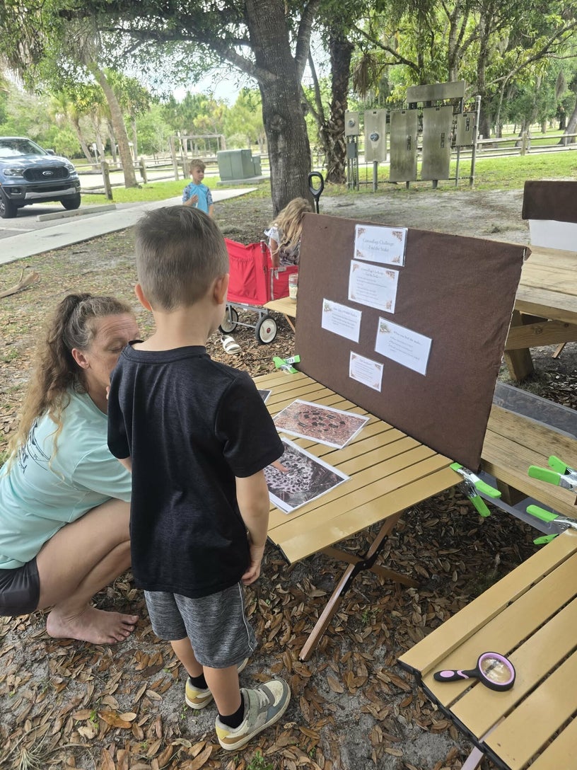 Child working through snake camouflage and identification materials