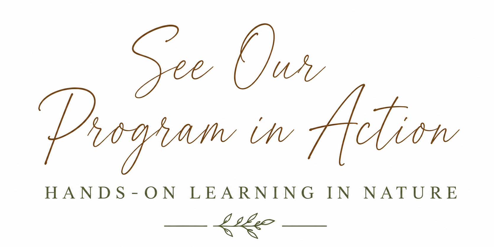 See Our Program in Action