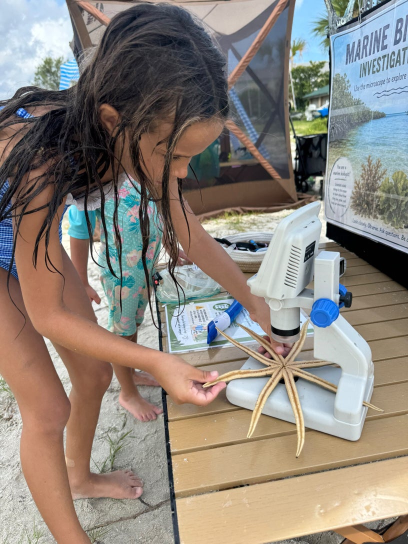 Child investigating a sea star using scientific equipment