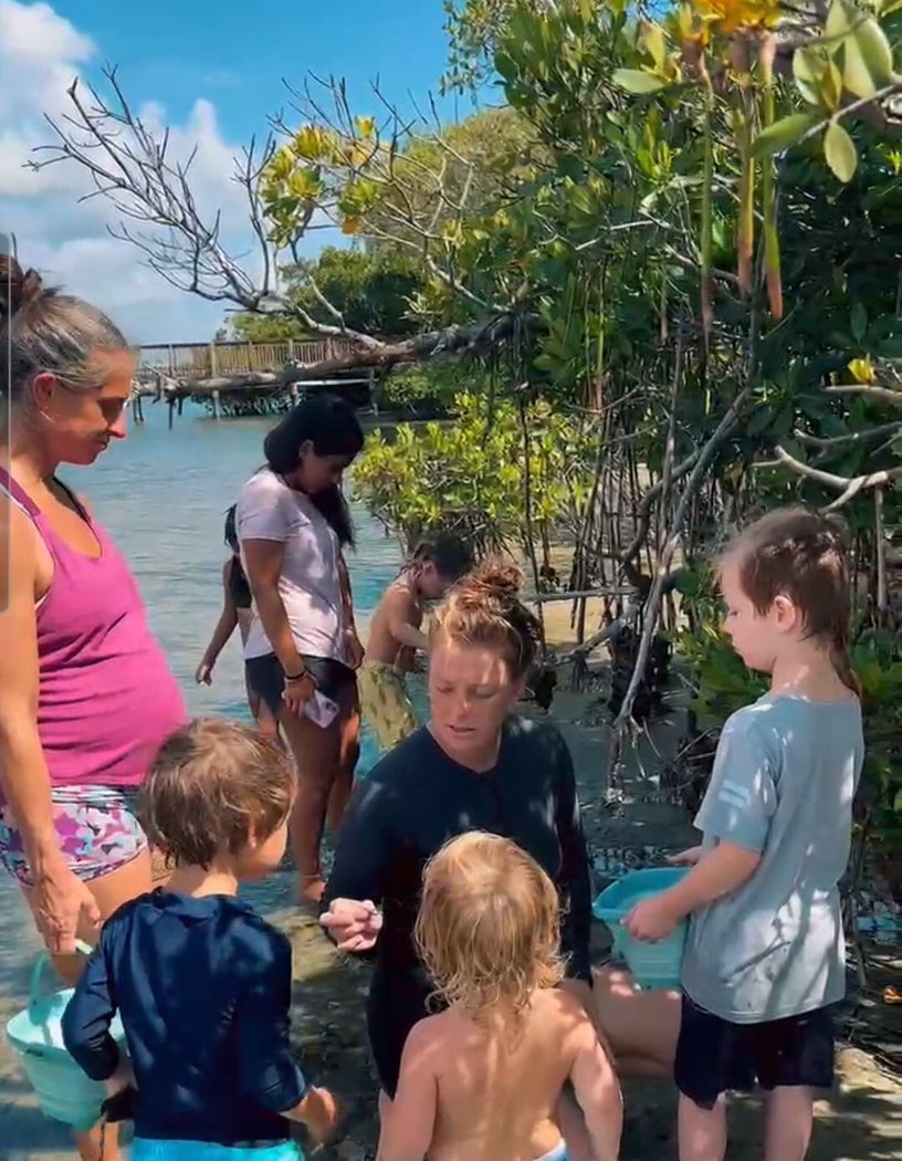Coastal wildlife observation during a group investigation