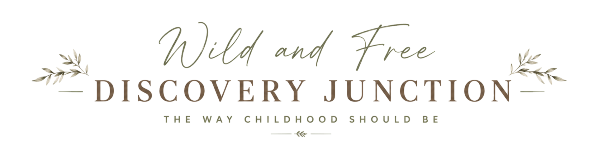 Wild and Free Discovery Junction