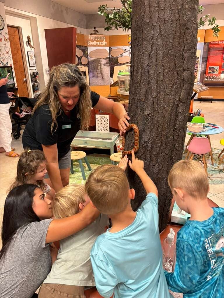 Children safely observing a venomous snake exhibit