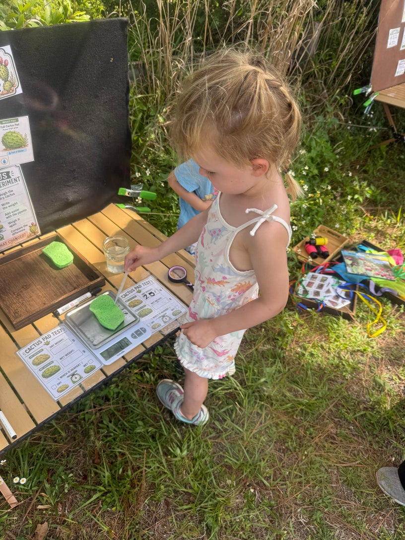 Child using pipette for prickly pear cactus water storage experiment