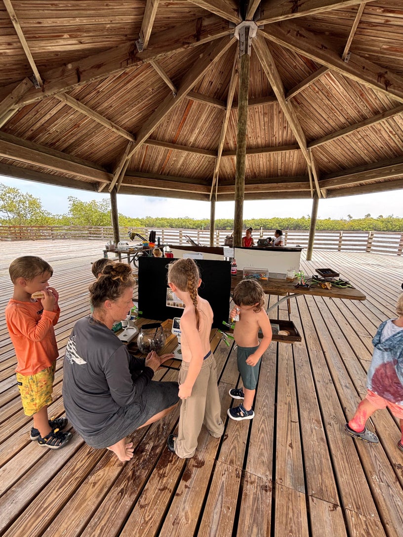 Children using microscopes during mangrove exploration