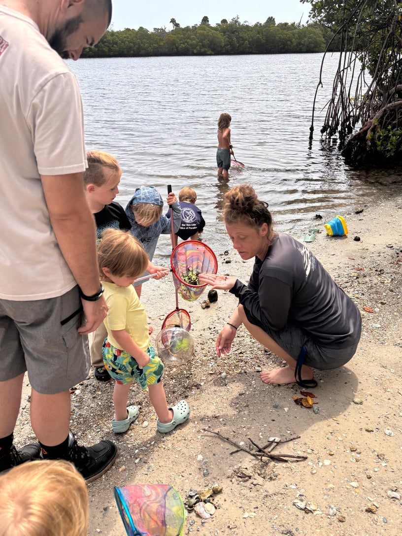 Children collecting samples near mangrove water