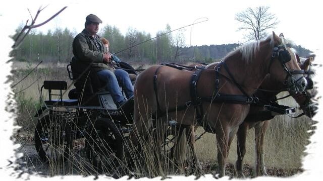 Farmfun