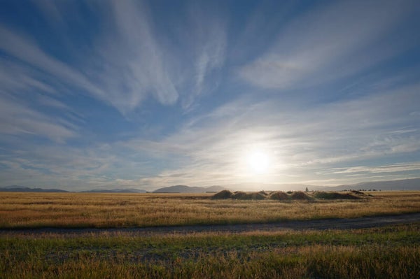 Canterbury Dawn (Copy)