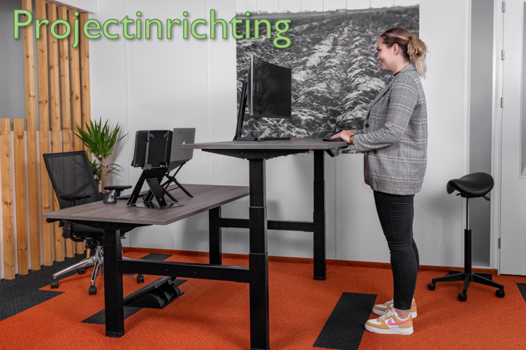 Projectinrichting
