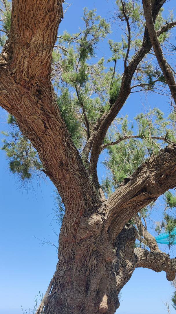 Aanpak individuele aanpak