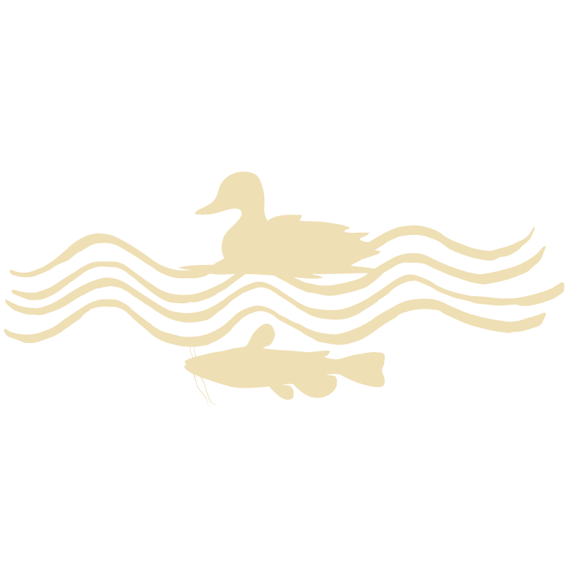 logo-only-the-duck-and-cat-8-standard.png