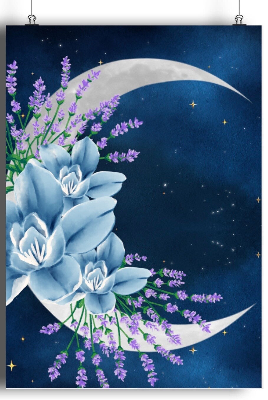Beauty Of The Night A5