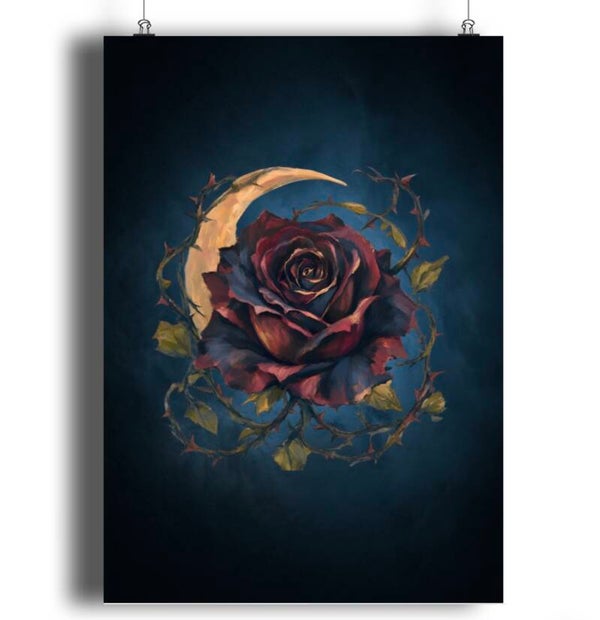 Nightly Rose A5