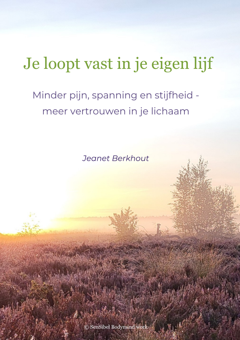 E-book Je loopt vast in je eigen lijff