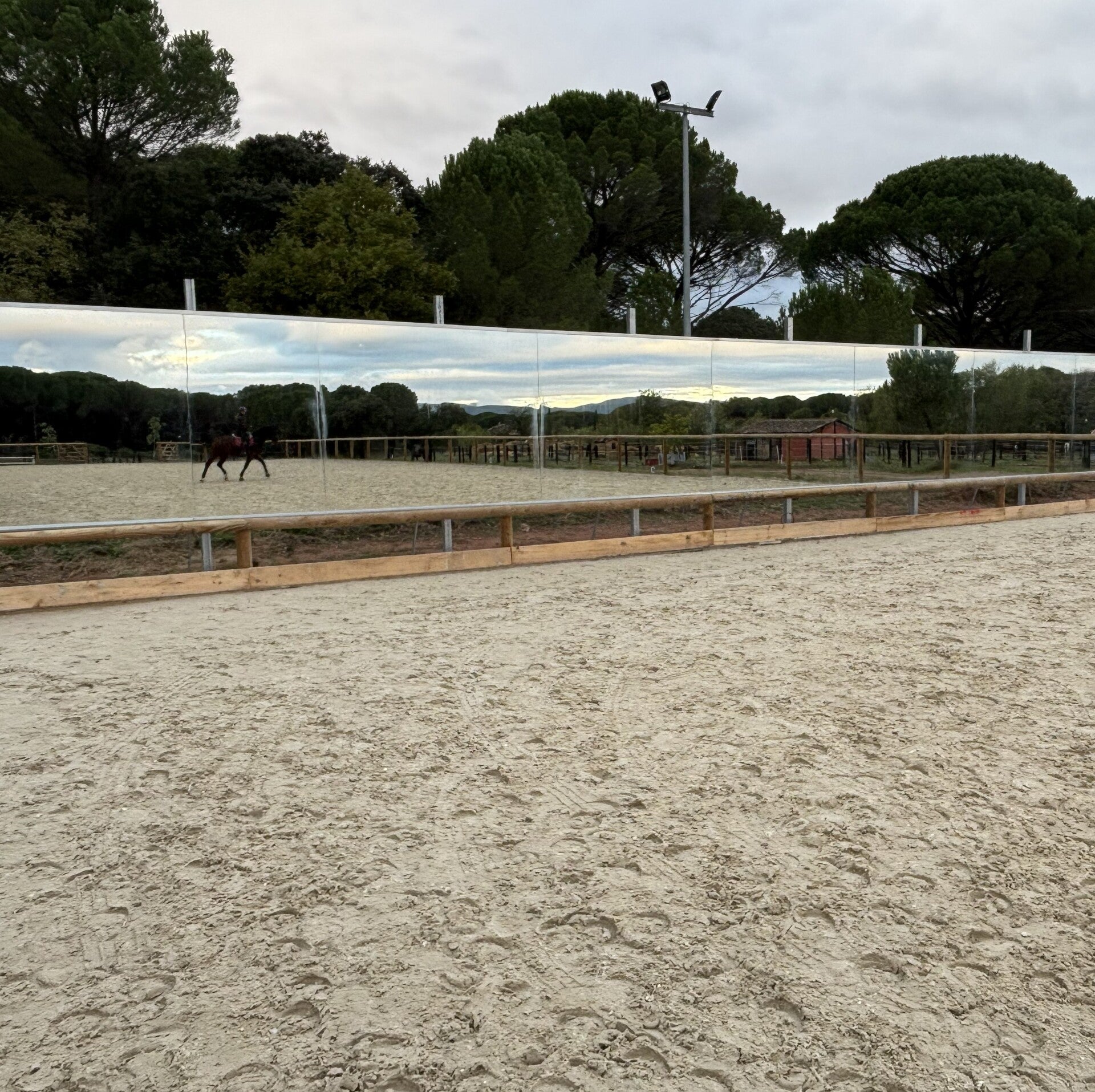 miroir de dressage en France