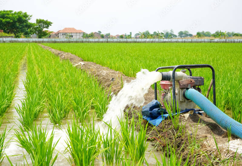 Engine pump in the field