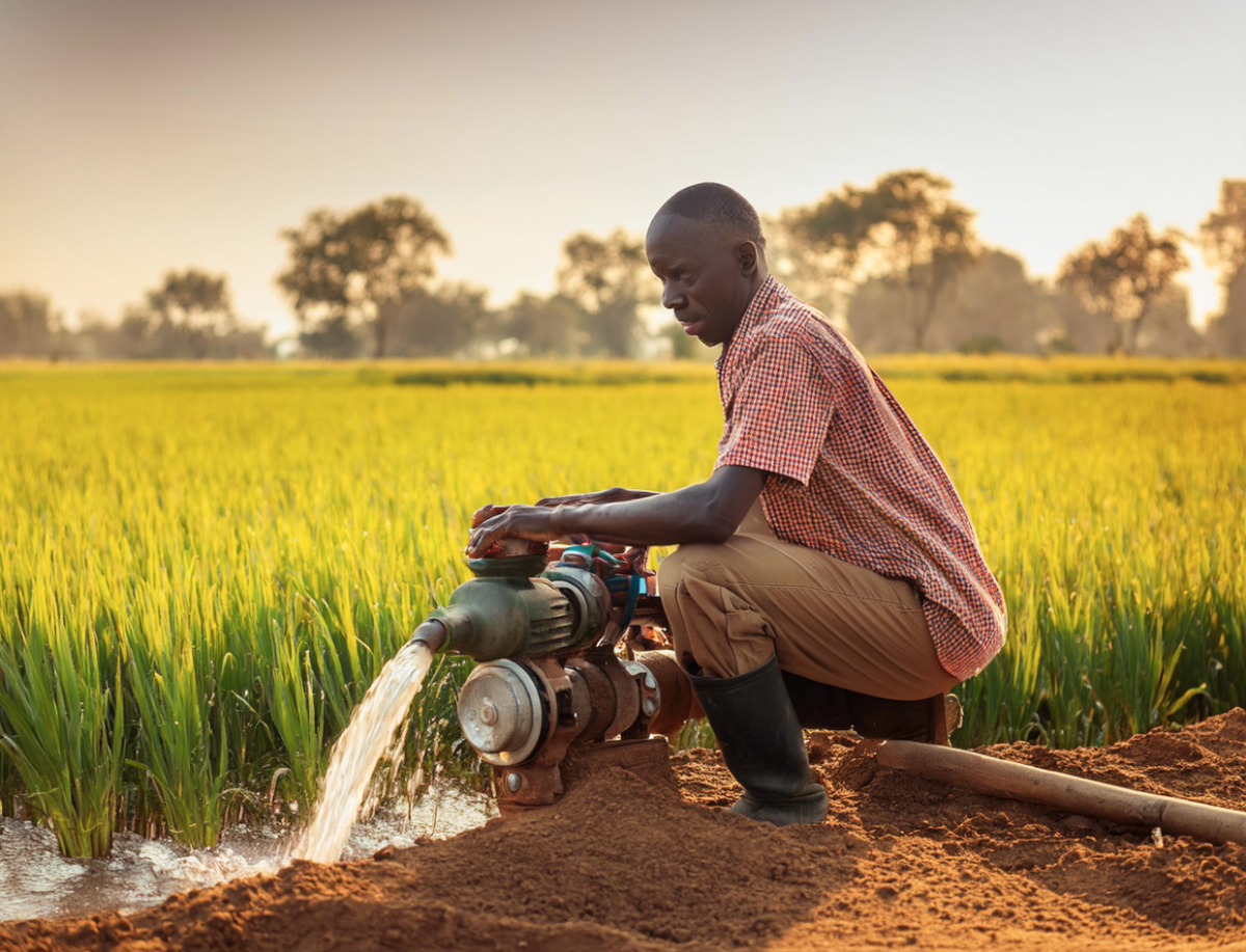 Africcan farmer operating engine pump