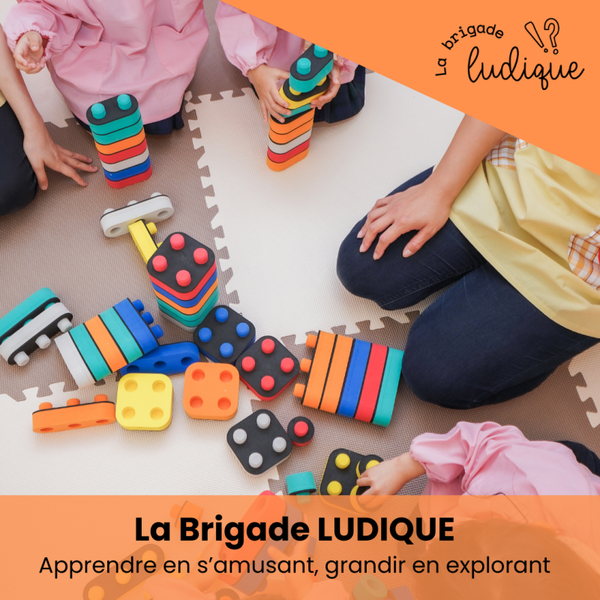 Brigade ludique