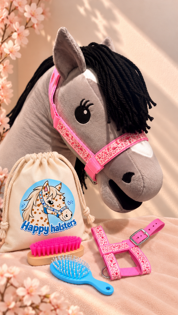 Hobby horse mystery bag