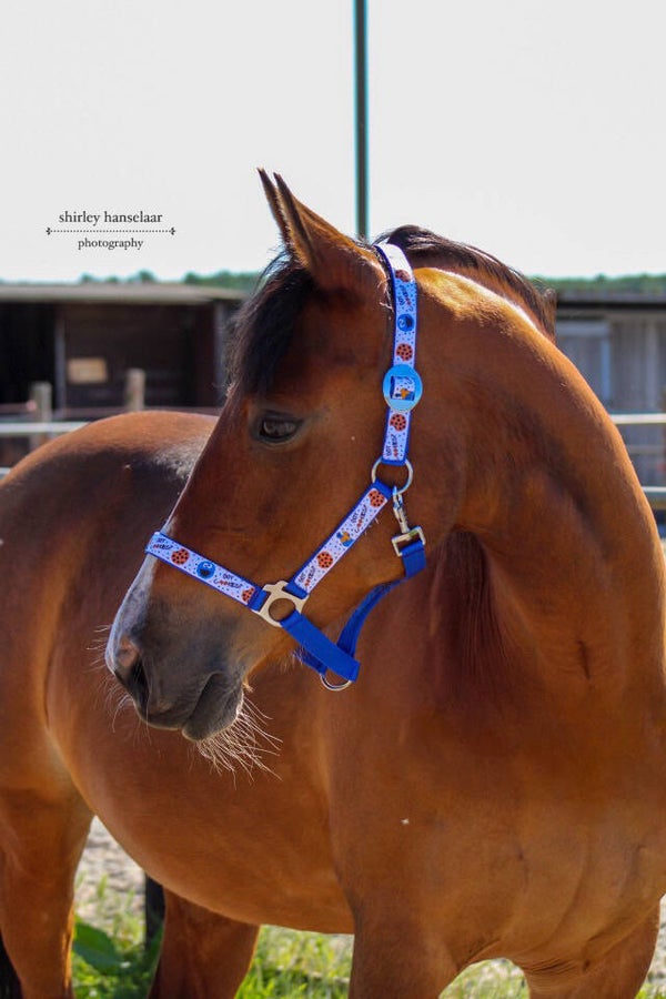 Pony