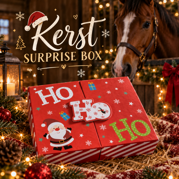 Kerst surprise box