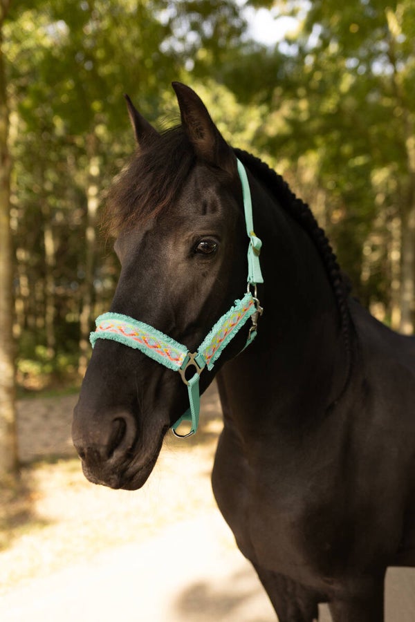 IBIZA halster turquoise