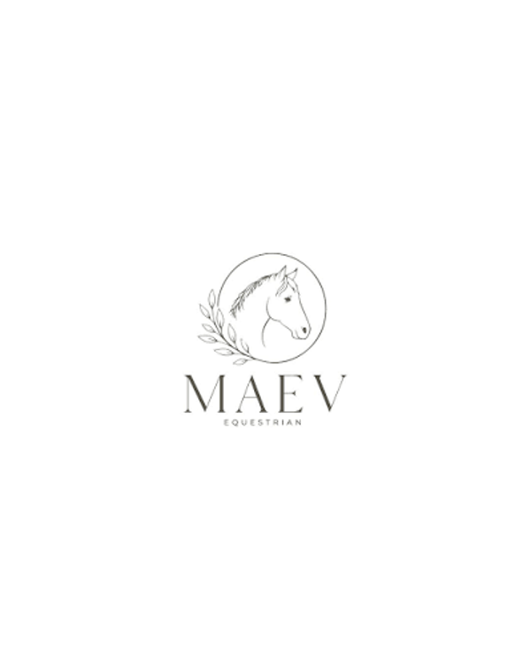 MEAV Equestrian partij
