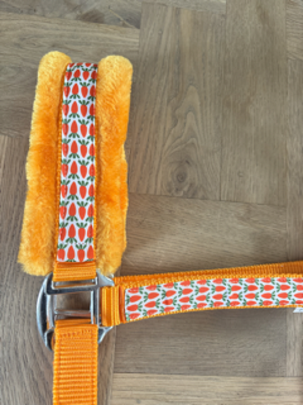 Bont worteltjes halster