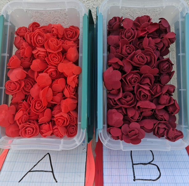 Coloris fleurs mousse à choisir pour vos commandes
