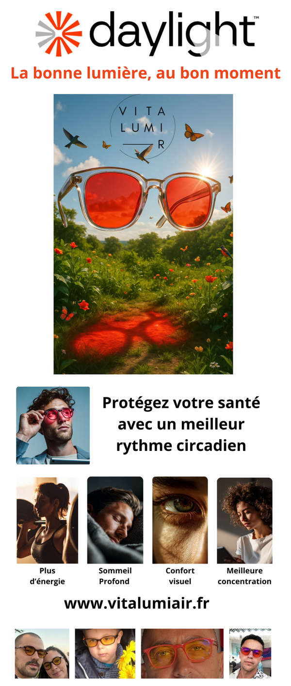 Daylight Lunettes