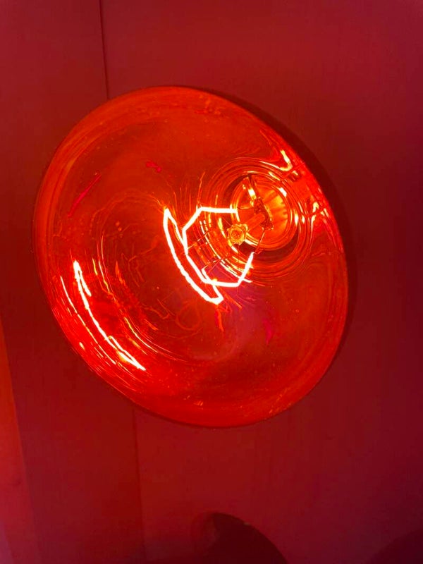 Lampes infrarouge 250W
