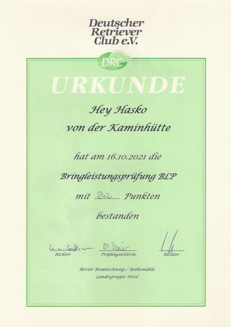 Bringleistungsprüfung