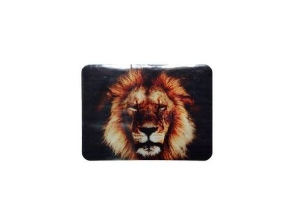 Magneet met leeuw